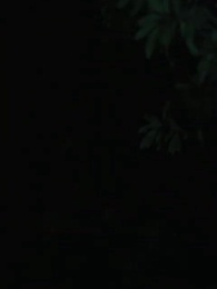 Episode 17 - Bara Dendam