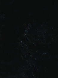 Episode 53 - Bara Dendam