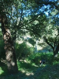 Episode 12 - Bara Dendam