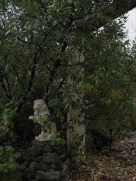 Sinful Love With Alphas - Episode 57