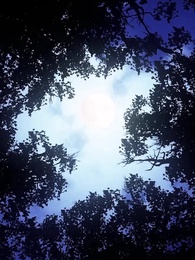 Episode 46 - Sinful Love With Alphas