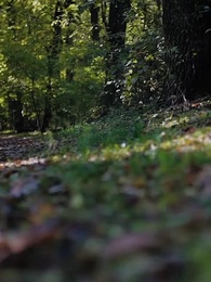 Episode 59 - Sinful Love With Alphas