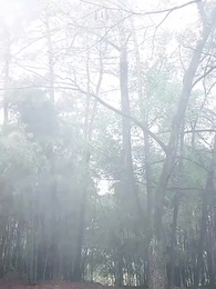 第36集 - 萬道龍皇之至尊神殿