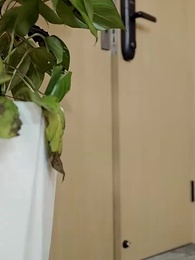 第68集 - 千金世無雙