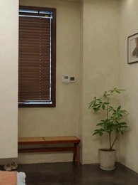 71화 - 위험한 사이