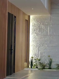 Turn Out He Is a Millionaire - Episode 66