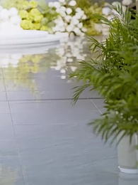 下山禍害六個絕色師姐 - Episode 17