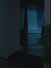 第176集 - 傅少的落跑嬌妻