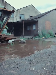 第35集 - 絕世醒龍