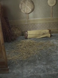 第56話 - なよやかな王妃