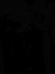 第31集 - 凡士龍心