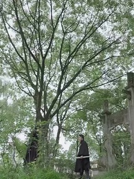 第98集 - 絕世醒龍