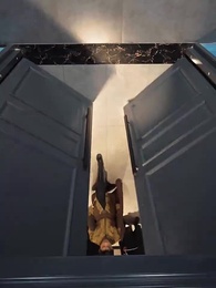 第14集 - 絕世醒龍