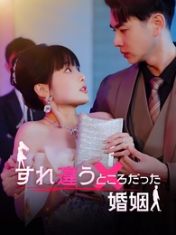 すれ違うところだった婚姻