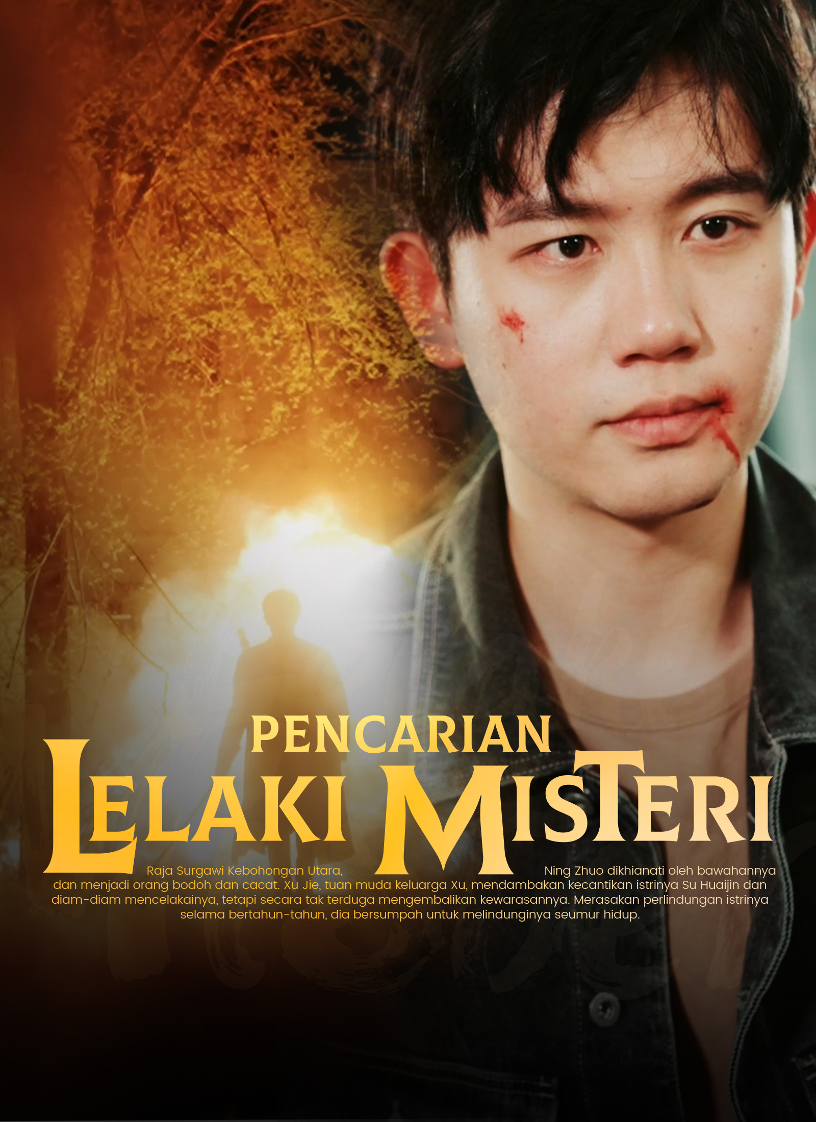 Pencarian Lelaki Misteri