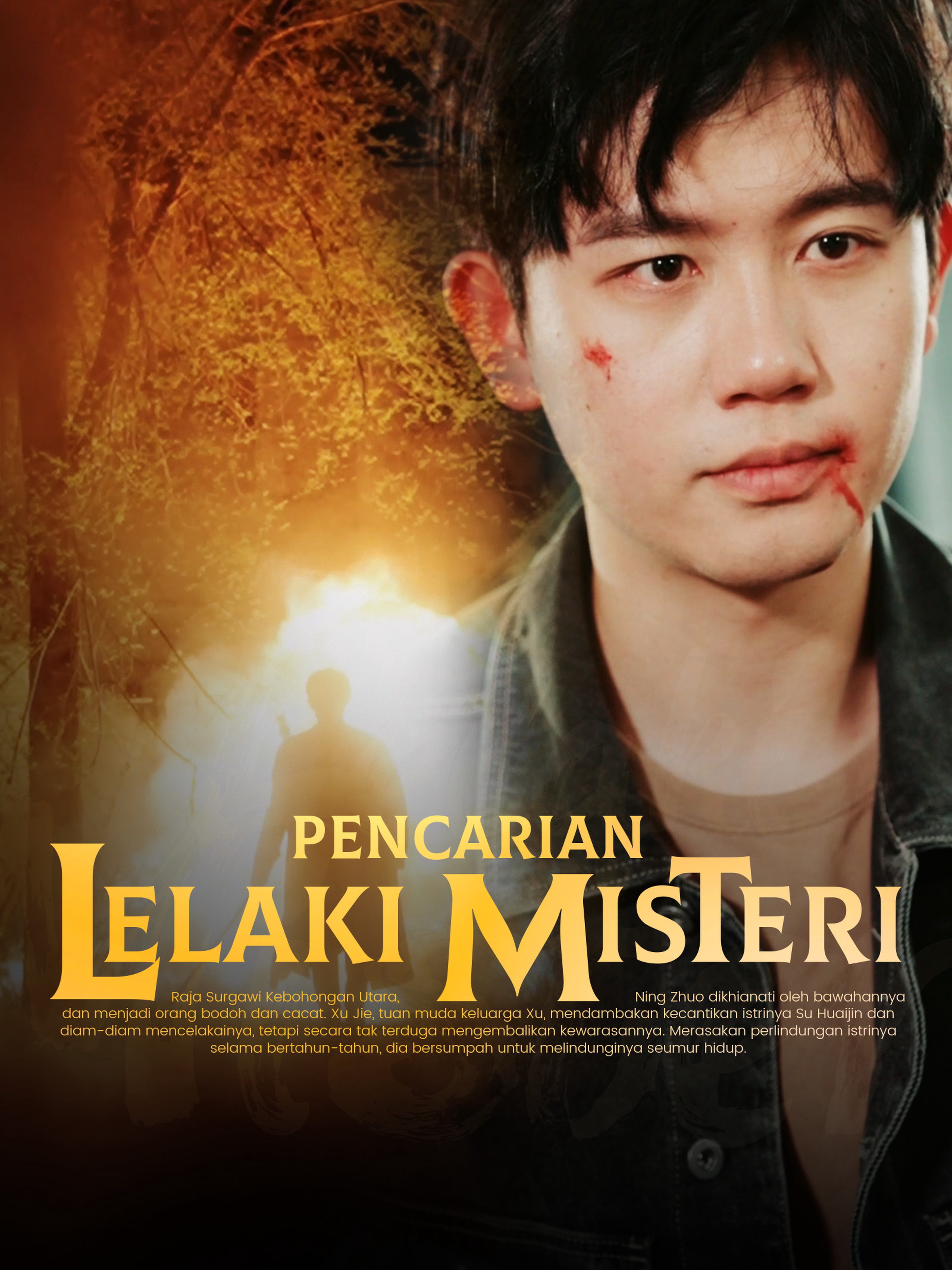 Pencarian Lelaki Misteri