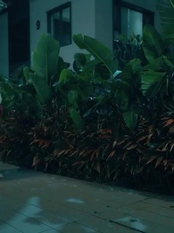 Episode 2 - Ibuku adalah Seorang Bos