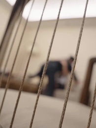 14화 - 야 !높이 들어 높이 들어