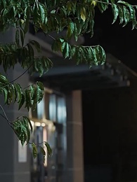 Sếp Bùi Lúc Nào Cũng Muốn Dựa Hơi Con Trai - Episode 63