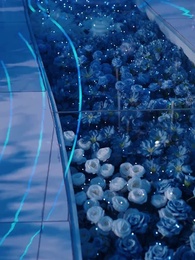 變身後我閃婚驚艷全球 - Episode 21