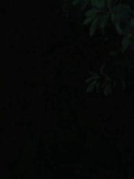 ตอนที่ 17 - เกิดใหม่มาแก้แค้น คนทรยศลูน่า