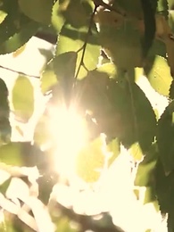 늑대인간의 사랑 - Episode 62