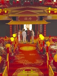 Revenge of the Idoit - Episode 15