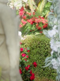 Episode 25 - Pregnant after One-night Stand with Alpha