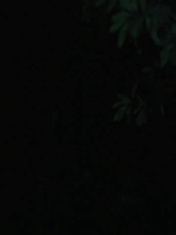 Tập 17 - Trùng Sinh Báo Thù: Luna Bị Phản Bội