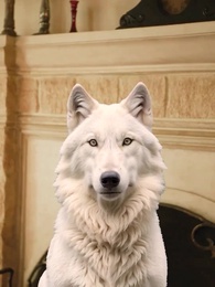 Trùng Sinh Báo Thù: Luna Bị Phản Bội - Episode 29