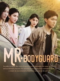 Mr. Bodyguard