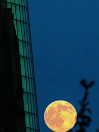 Nikita: Alpha King's 3-Time Rejected Mate - Episode 53