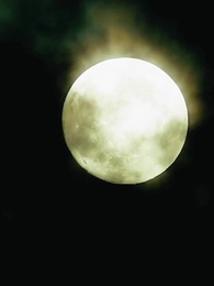 Nikita: Alpha King's 3-Time Rejected Mate - Episode 14