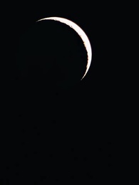 Nikita: Alpha King's 3-Time Rejected Mate - Episode 51