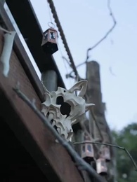 Der Verbotene Alpha - Episode 43