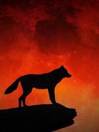 Mein persönlicher Lykaner-König - Episode 1