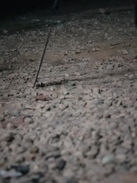 第2話 - ダメ人間は将軍様 !?