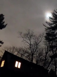 Mein persönlicher Lykaner-König - Episode 57