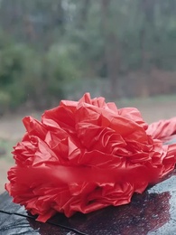 Episode 41 - Lord Cyan's Revenge