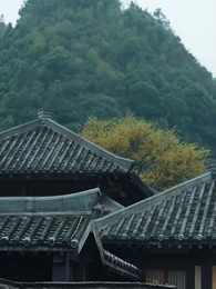 Kasim Palsu Eksentrik - Episode 4