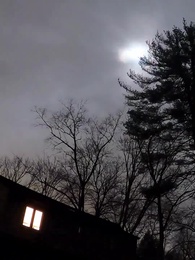 Episode 32 - Mein persönlicher Lykaner-König