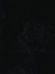 Episodio 53 - Renacido para vengar a la traicionada Luna