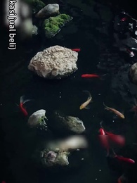 Episode 21 - Terjerat Cinta di Era Inflasi