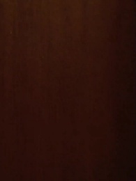 Episodio 78 - El Retorno de la Encantadora Esposa del CEO