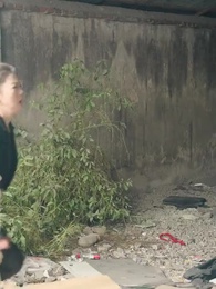 Thiên Kim Nhà Họ Quý - Episode 82