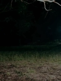 Episode 27 - Mein persönlicher Lykaner-König