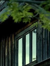 Episode 50 - Mein persönlicher Lykaner-König