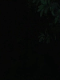 Renacido para vengar a la traicionada Luna - Episode 17