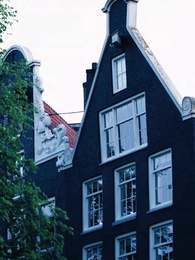 Episode 64 - Nikita：Alpha King's 3-Time Rejected Mate(Emotional Version)