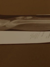 Nikita：Alpha King's 3-Time Rejected Mate(Emotional Version) - Episode 45